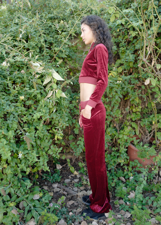 Velour Jogger - Bordeaux